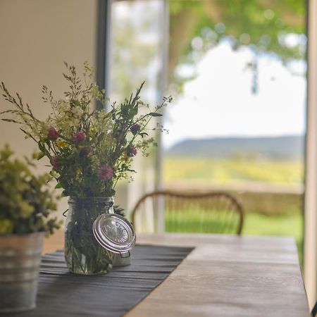 Domaine De Sevanes Saint-Paul-les-Fonts Kültér fotó